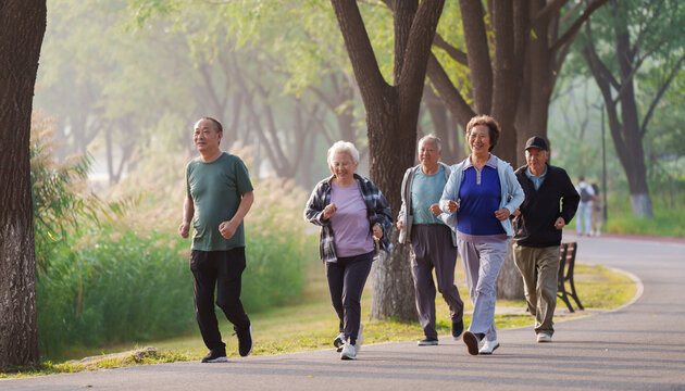 Old people exercising in the park