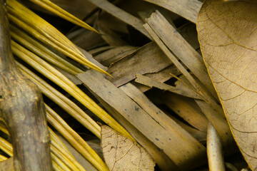 The image depicts a serene landscape with a vibrant sunset and a solitary tree, surrounded by lush greenery, reflecting calm and tranquility