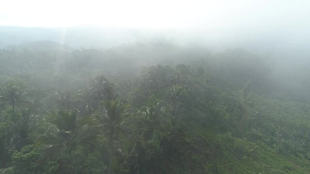 aerial footage beautiful view of hills and mountains in a cloudy morning in Banyumas, Central Java, Indonesia 4K Drone | Sawah berselimutkan awan di pagi hari
