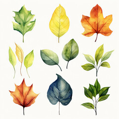 Obraz premium Set of leaf watercolor 