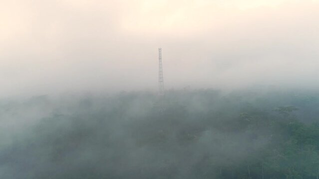 aerial footage beautiful view of hills and mountains in a cloudy morning in Banyumas, Central Java, Indonesia 4K Drone | Sawah berselimutkan awan di pagi hari