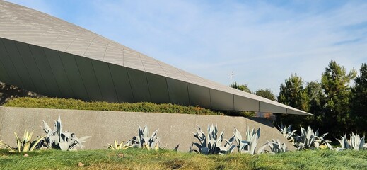 Plants along the wall
