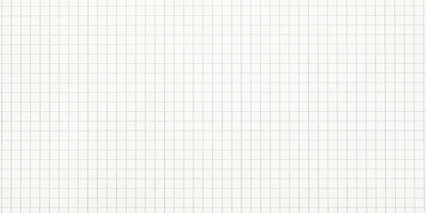 Blank Graph Paper Texture Background With Grid Lines for Mathematical Calculations