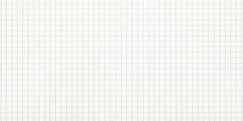 Blank Graph Paper Texture Background With Grid Lines for Mathematical Calculations
