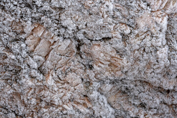 The texture of the stone cliffs covered with frost with snow. Rough aged granite stone frost covered surface.
