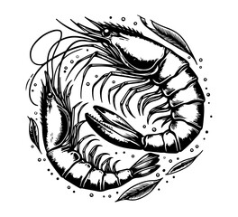 Shrimp Hand drawn vector illustration graphic asset