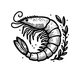 Shrimp Hand drawn vector illustration graphic asset