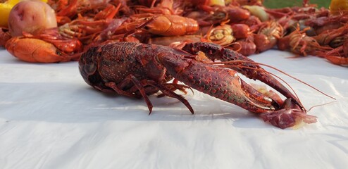 lobster on the market
