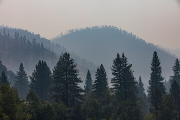Green forest in the foreground, but with mountains covered in smoke of burnt trees in the background