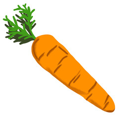 carrot isolated on white