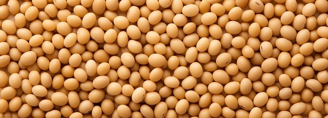 The background of high quality soybean seeds is light brown