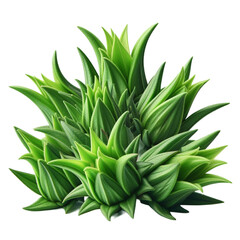 Fototapeta premium Vegetables on a white background.Isolated image