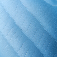 leaf background, leaf surface, leaf texture, leaf material, sleaf floor