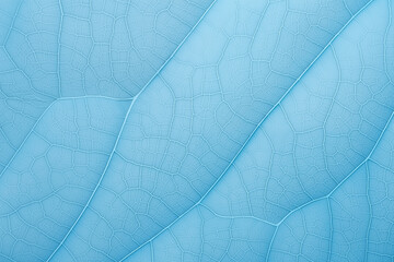 leaf background, leaf surface, leaf texture, leaf material, sleaf floor