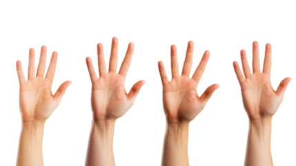Many hands up isolated on white transparent background with a clipping path. Png file