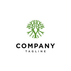 
Letter Y Tree Logo icon vector template.eps