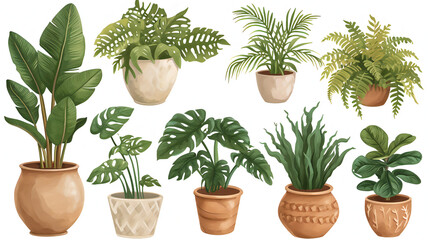 house plants vector on white background