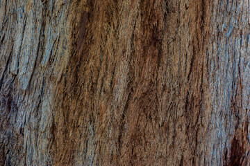 old wood texture
