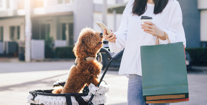 Young asian woman using mobile phone and holding coffee cup with shopping bag after shopping in her holiday with dog in cart