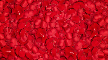 A bunch of red rose petals