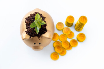 Stack of golden dollar coins and a piggy bank with newly grown plant seedlings above them