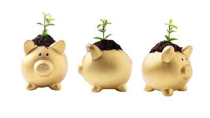 Piggy bank with newly grown plant seedlings above them