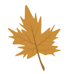 Doodle leaves set illustration autumn cute  watercolor botanical drawing with brown and gold colors that can be used for sticker, icon, decorative, e.t.c	