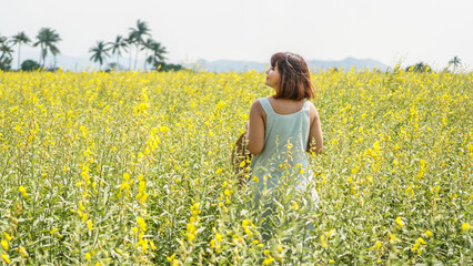 Naklejka na ściany i meble Asian woman standing in beautiful yellow sunn hemp flower field with smiling happy face while travel outdoor. Female have freedom time garden with blue sky background. Concept of nature moment.