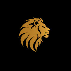 Lion Head Photograph on a Black Background