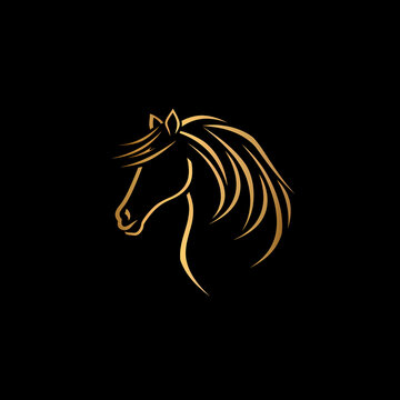 Majestic Horse Head on Black Background, minimalist logo design