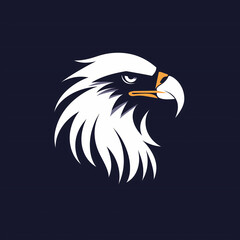 Fototapeta premium Close-up Photo, Eagles Head on Dark Background