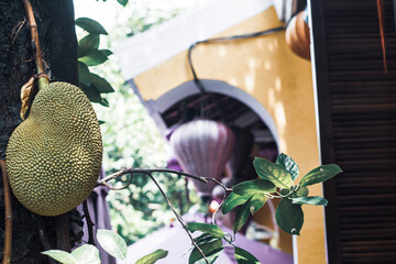  The house scene must have small corners made of wood, sometimes small pieces of wood, to create...