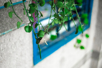  The house scene must have small corners made of wood, sometimes small pieces of wood, to create...