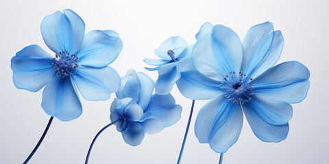 Watercolor Flower Light Blue, Watercolor flower watercolor floral color.