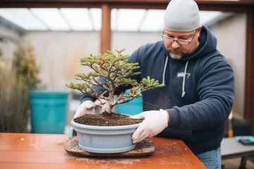 Fotobehang winterizing a bonsai with a protective wrap © studioworkstock