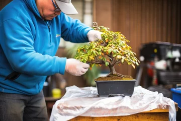 Fotobehang winterizing a bonsai with a protective wrap © studioworkstock