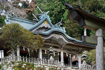 玉置神社 © 卓志 海住