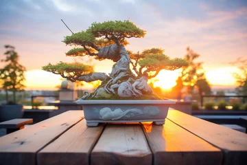 Wandcirkels aluminium bonsai in an outdoor setting during sunrise © studioworkstock