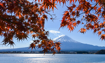 Fuji view by lake, autumn foliage