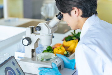 顕微鏡で野菜の成分を観察する若い研究者　管理栄養士 - obrazy, fototapety, plakaty