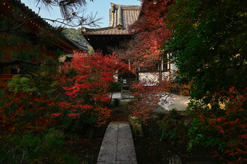 Kyoto Bishamon-do temple autumn scenery