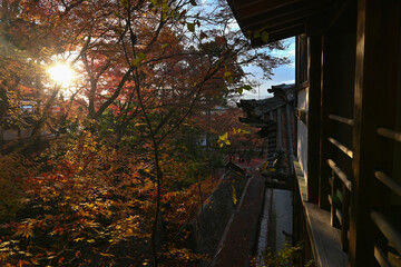 Kyoto Eikando temple autumn scenery
