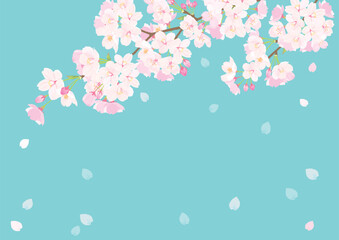 桜の枝　背景イラスト