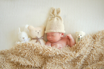 Portrait of Asian newborn baby is sleeping with teddy bears on beige and brown blanket. Top view,...