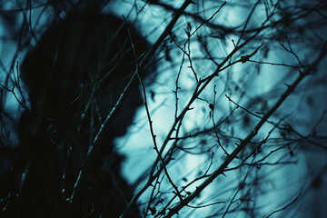 Dark, brooding colors conveying a sense of melancholy or introspection.