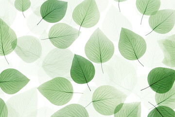 Obraz premium Green leaves on white background.