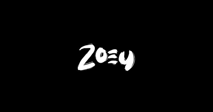 Zoey Female Name in Digital Grunge Transition Effect of Bold Text Typography Animation on Black Background 