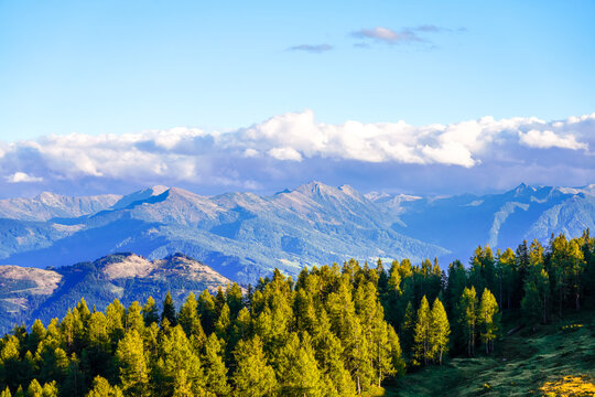 Nature on the high plateau of the Tauplitzalm. View of the landscape at the Toten Gebirge in Styria. Idyllic surroundings with mountains and green nature on the Tauplitz in Austria.
