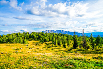 Nature on the high plateau of the Tauplitzalm. View of the landscape at the Toten Gebirge in...