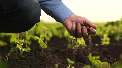 farmer holding soil field hand, observes agricultural plot. Agriculture important part economy...